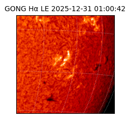 gong - 2025-12-31T01:00:42