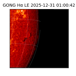 gong - 2025-12-31T01:00:42