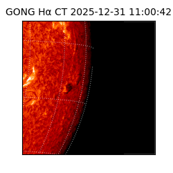 gong - 2025-12-31T11:00:42
