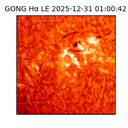 gong - 2025-12-31T01:00:42