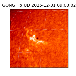 gong - 2025-12-31T09:00:02