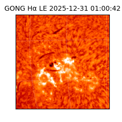 gong - 2025-12-31T01:00:42