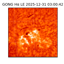 gong - 2025-12-31T03:00:42