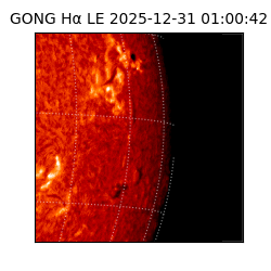 gong - 2025-12-31T01:00:42