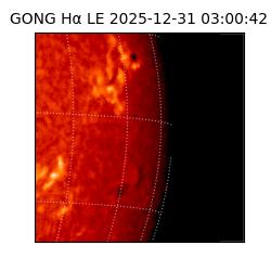 gong - 2025-12-31T03:00:42