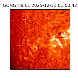 gong - 2025-12-31T01:00:42