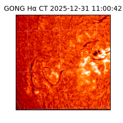 gong - 2025-12-31T11:00:42