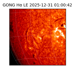 gong - 2025-12-31T01:00:42