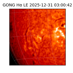 gong - 2025-12-31T03:00:42