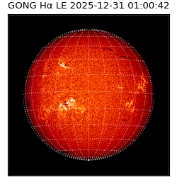 gong - 2025-12-31T01:00:42