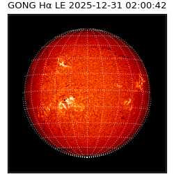 gong - 2025-12-31T02:00:42