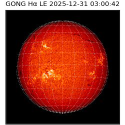 gong - 2025-12-31T03:00:42