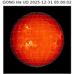 gong - 2025-12-31T05:00:02