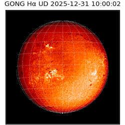gong - 2025-12-31T10:00:02