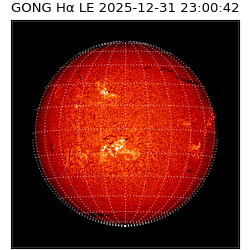 gong - 2025-12-31T23:00:42