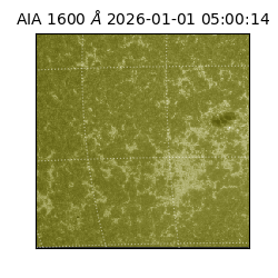 saia - 2026-01-01T05:00:14.125000