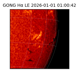 gong - 2026-01-01T01:00:42