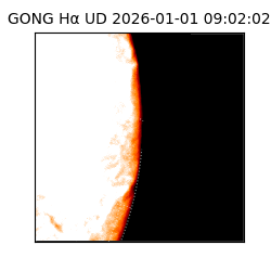 gong - 2026-01-01T09:02:02