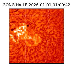 gong - 2026-01-01T01:00:42