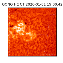 gong - 2026-01-01T19:00:42