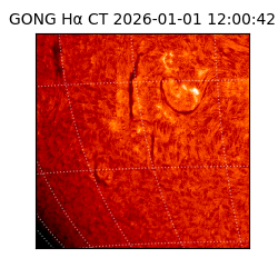 gong - 2026-01-01T12:00:42
