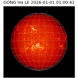gong - 2026-01-01T01:00:42