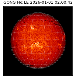 gong - 2026-01-01T02:00:42