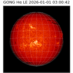gong - 2026-01-01T03:00:42