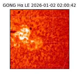 gong - 2026-01-02T02:00:42