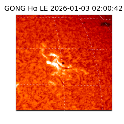 gong - 2026-01-03T02:00:42
