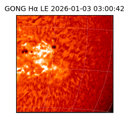 gong - 2026-01-03T03:00:42