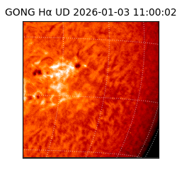 gong - 2026-01-03T11:00:02
