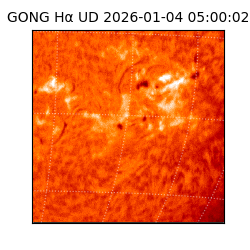 gong - 2026-01-04T05:00:02
