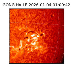 gong - 2026-01-04T01:00:42