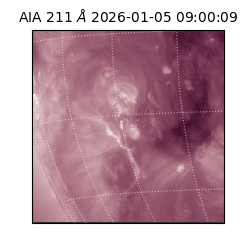 saia - 2026-01-05T09:00:09.626000