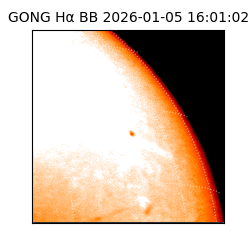 gong - 2026-01-05T16:01:02