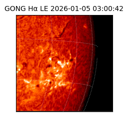 gong - 2026-01-05T03:00:42