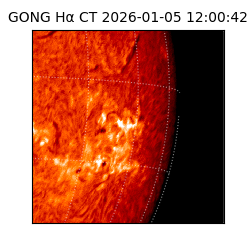 gong - 2026-01-05T12:00:42