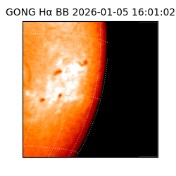 gong - 2026-01-05T16:01:02