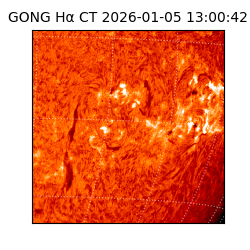 gong - 2026-01-05T13:00:42