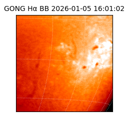 gong - 2026-01-05T16:01:02
