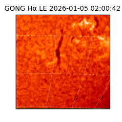 gong - 2026-01-05T02:00:42