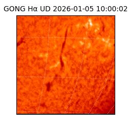 gong - 2026-01-05T10:00:02