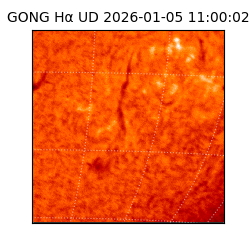 gong - 2026-01-05T11:00:02