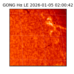 gong - 2026-01-05T02:00:42