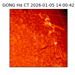 gong - 2026-01-05T14:00:42