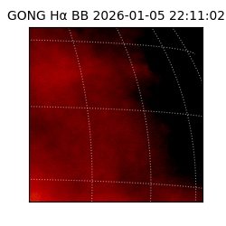 gong - 2026-01-05T22:11:02