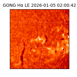 gong - 2026-01-05T02:00:42