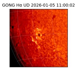 gong - 2026-01-05T11:00:02