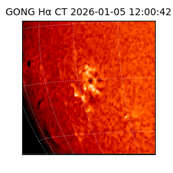 gong - 2026-01-05T12:00:42